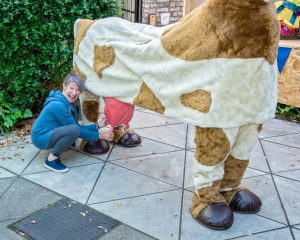 Pauline milking Patricia the Cow